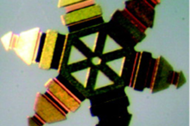 microgripper.jpg