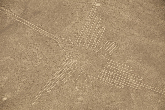 Nazca Lines bird - Shutterstock
