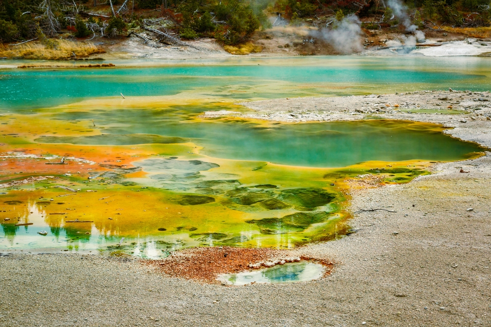 Microbes in Yellowstone Thermal Pools Could Shed Light on Ancient Life