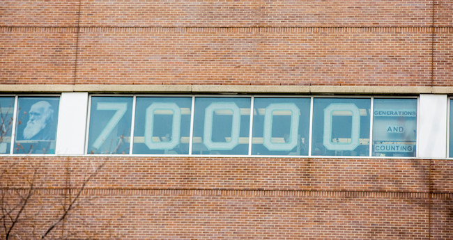70,000 Generations Lenski Lab Window - Charlotte Bodak