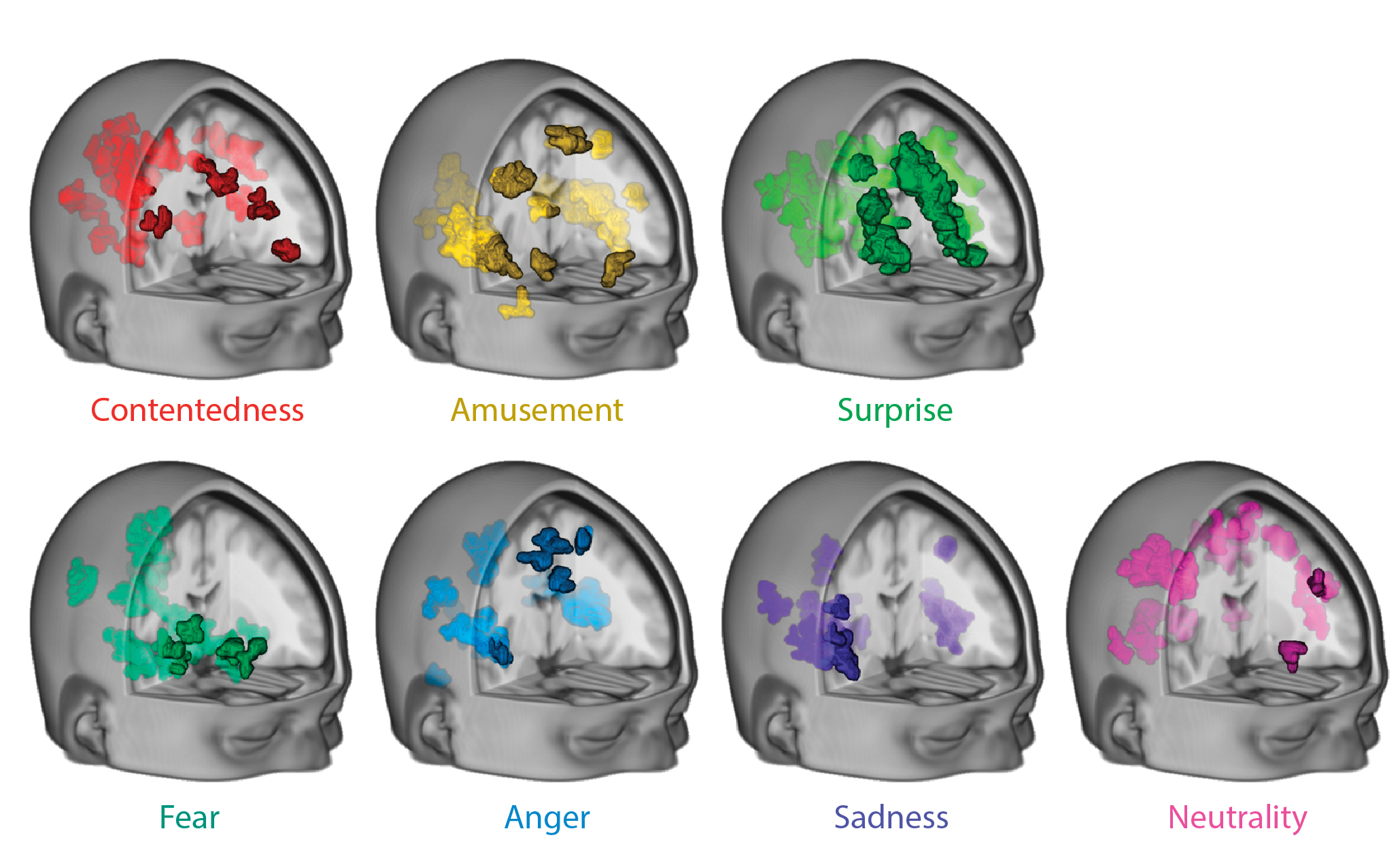 how emotions are made the secret life of the brain