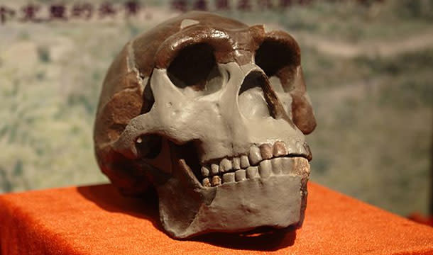 Peking-man.jpg