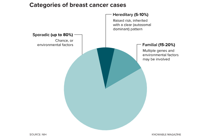Breast Cancer Risk By Age Chart