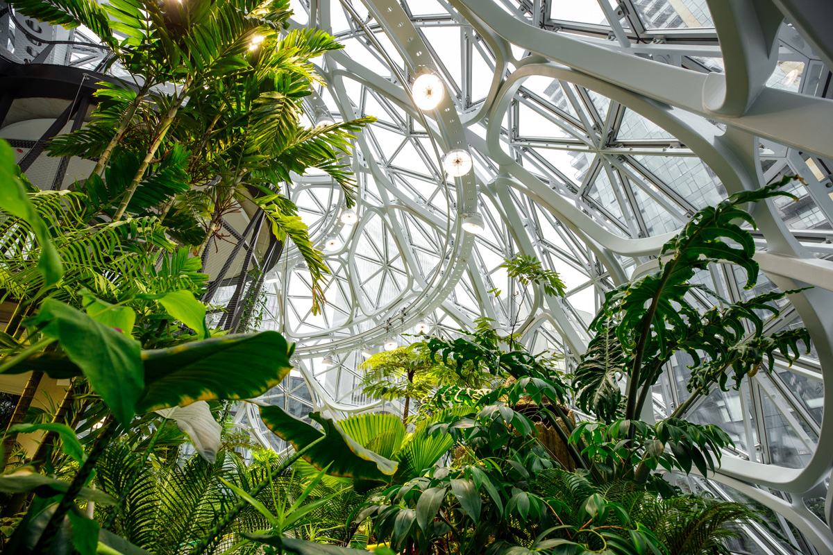 Will Amazon's Indoor Rainforest Actually Benefit Its Employees