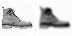 sight_56.jpg