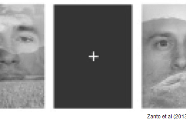 zanto_task.png
