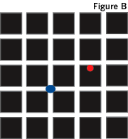 neuroquest_2.gif