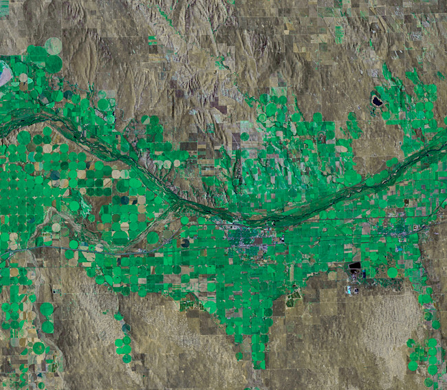 Cottonwood-Forest-Landsat.jpg