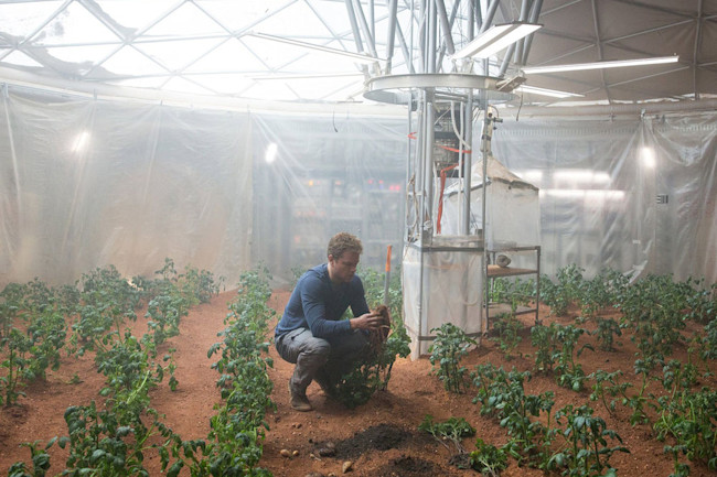 the_martian_still_image_potatoes_.jpg