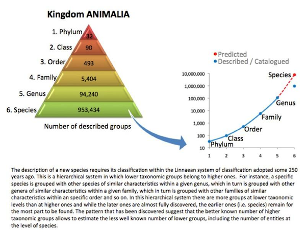 diversity-pyramid.png