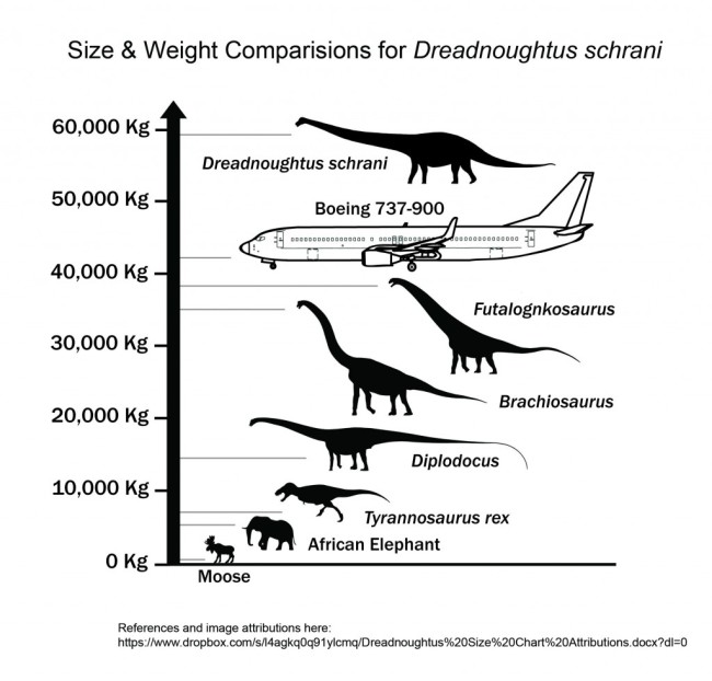 dreadnoughtus fossil