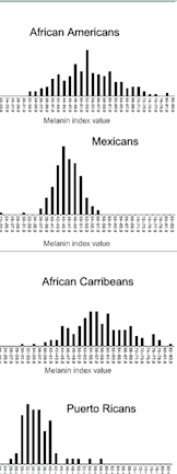 Skin Color Is Not Race Discover Magazine