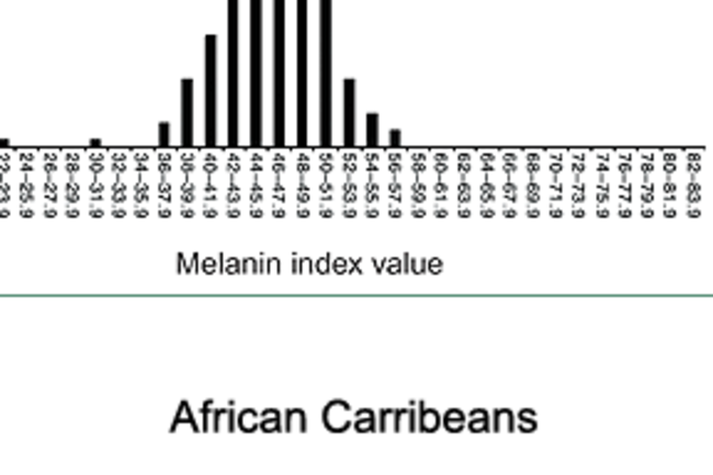 Skin Color Is Not Race Discover Magazine