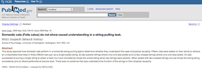 cat-string.png