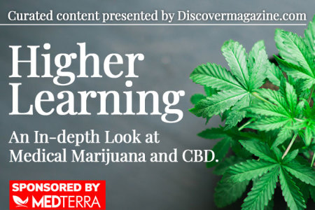 An In-Depth Look at Medical Marijuana and CBD