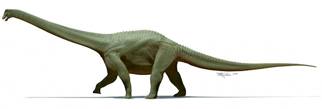 diamantinasaurus matildae