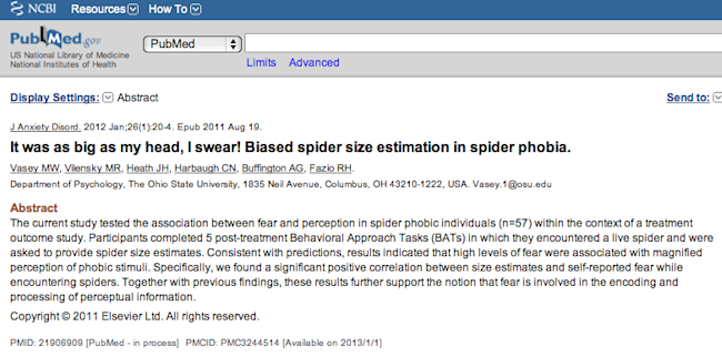 spider-size.png
