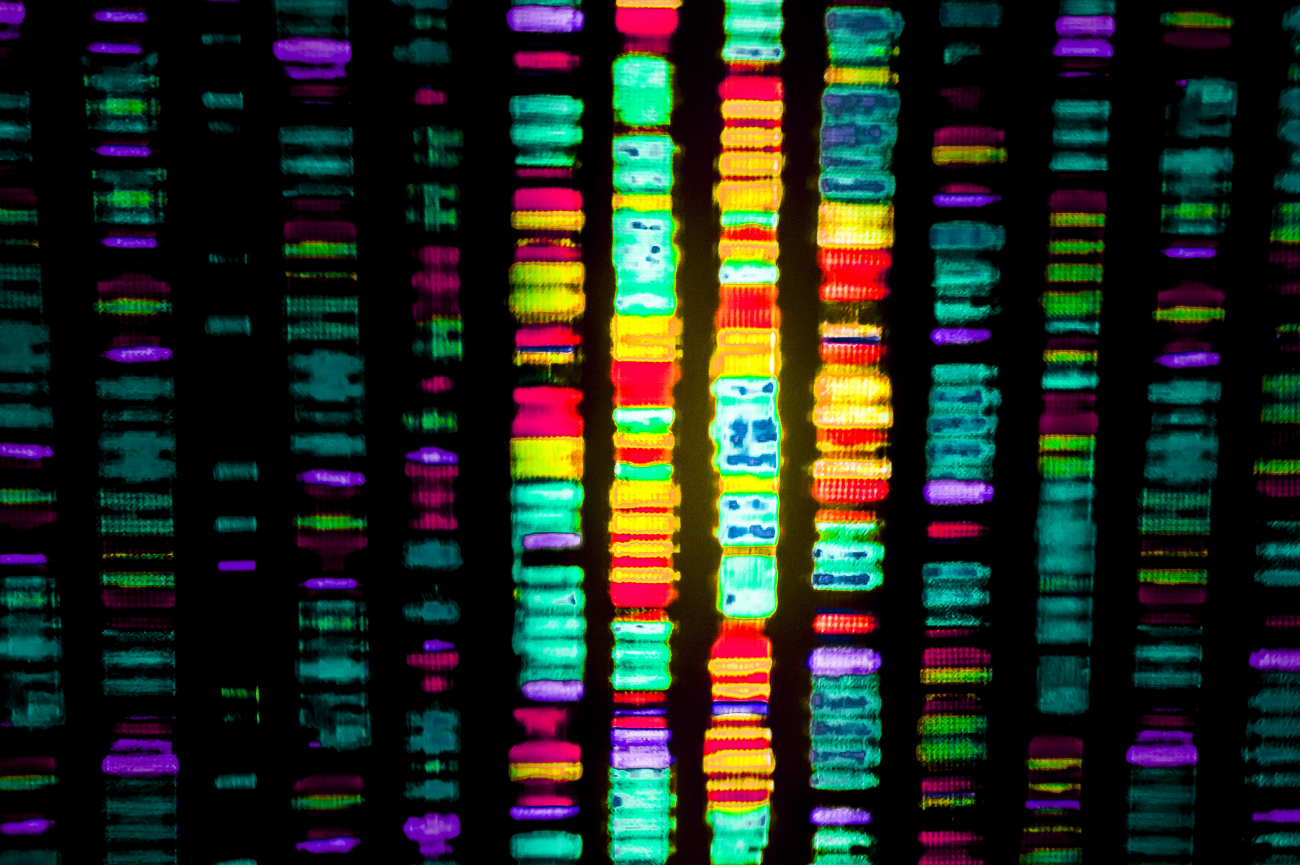 Finishing the Human Genome thumbnail