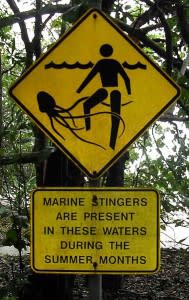379px-Marinesting1-189x300.jpg