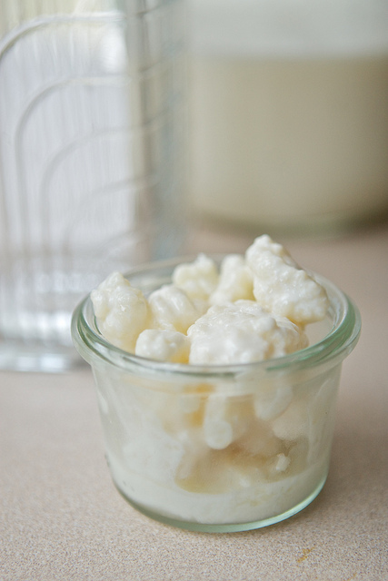 yogurt_mtn2.png