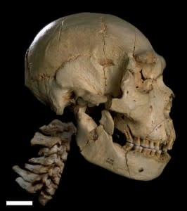 skull, Sima de los Huesos - Javier Trueba/msf
