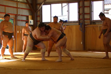 sumo.jpg