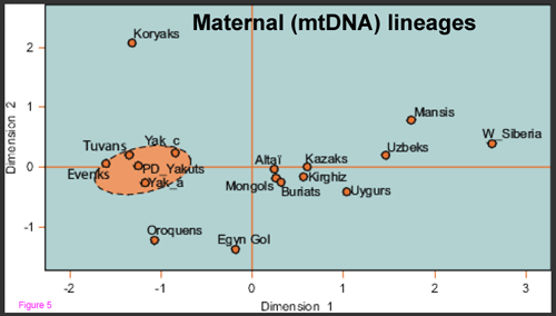 yakgendistancemtDNA.png