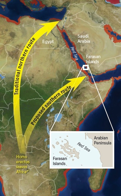 Routes out of Africa - Deep Time Maps/Mackey/Discover