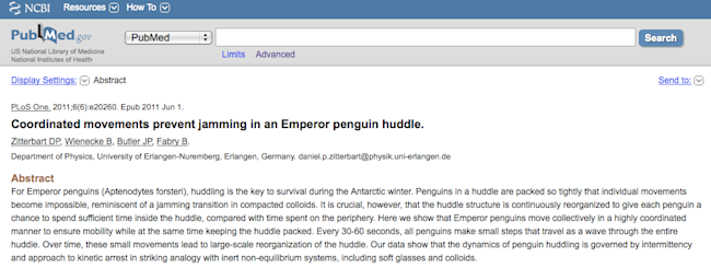 penguin_article.png