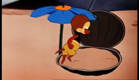 giphy.gif