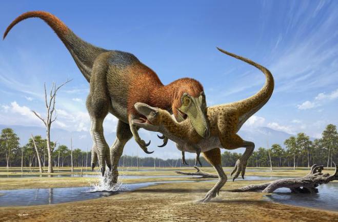 Low-Res Nanotyrannus versus baby T. rex