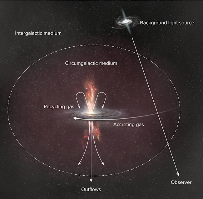 How Galaxies Live, Breathe and Die | Discover Magazine