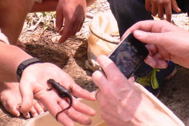 BIOBLITZ02-1024x831.jpg
