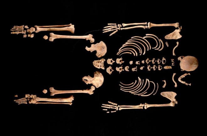 Researchers studied the ancient skeletons, including this one, of people who lived on the Iberian Peninsula over the past 20,000 years. Their discoveries reveal surprising insights into genetic influences over time. (Credit: Julio Manuel Vidal Encinas)