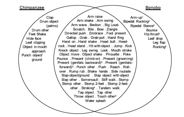 Venn diagram of gestures observed in common chimpanzees and bonobos (credit: Graham et al; Animal Cognition 2017, volume 20)