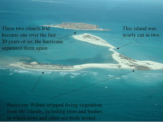 WilmaIslandsSlide.jpg