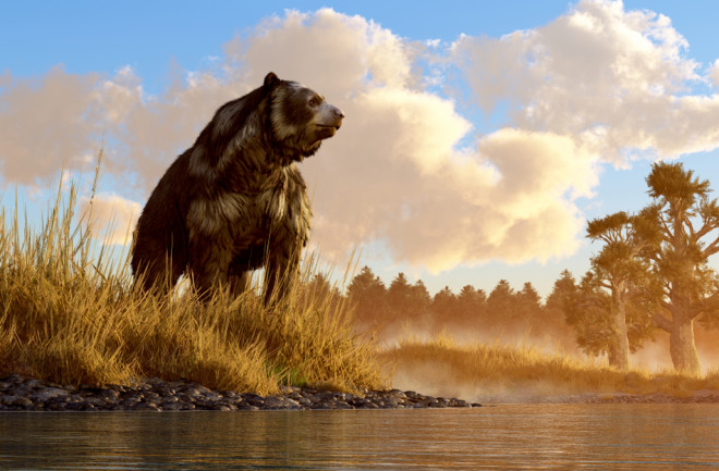 An illustration of Arctodus simus, an ancient bear about 12 feet tall