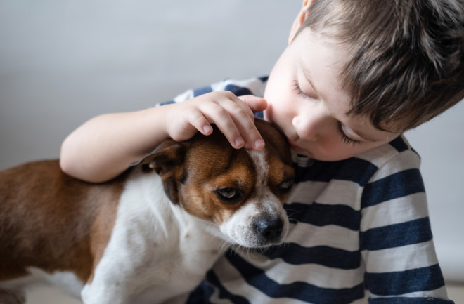 boy child petting a small dog - shutterstock