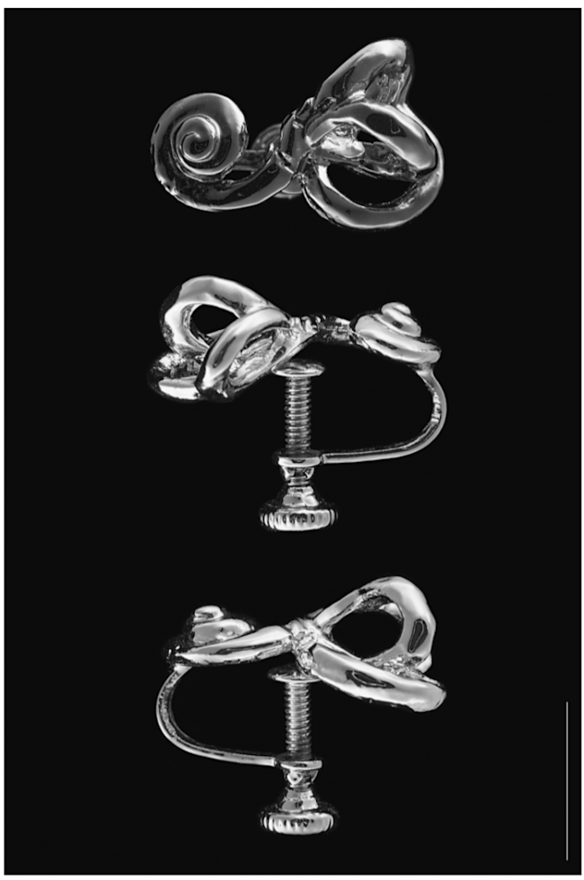 ear-jewelry-680x1024.png