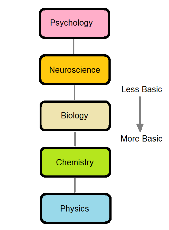 Neuroscience Vs Biology Major - INFOLEARNERS