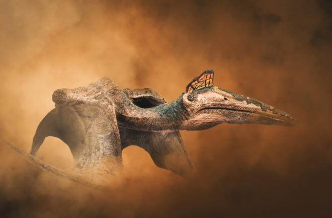 Quetzalcoatlus, dinosaur on smoke background