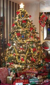 356px-User_Zink_Dawg_2009_Christmas_Tree-178x300.jpg