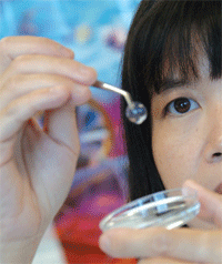 biosynthetic.gif