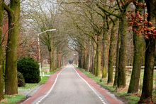 holland-road220.jpg