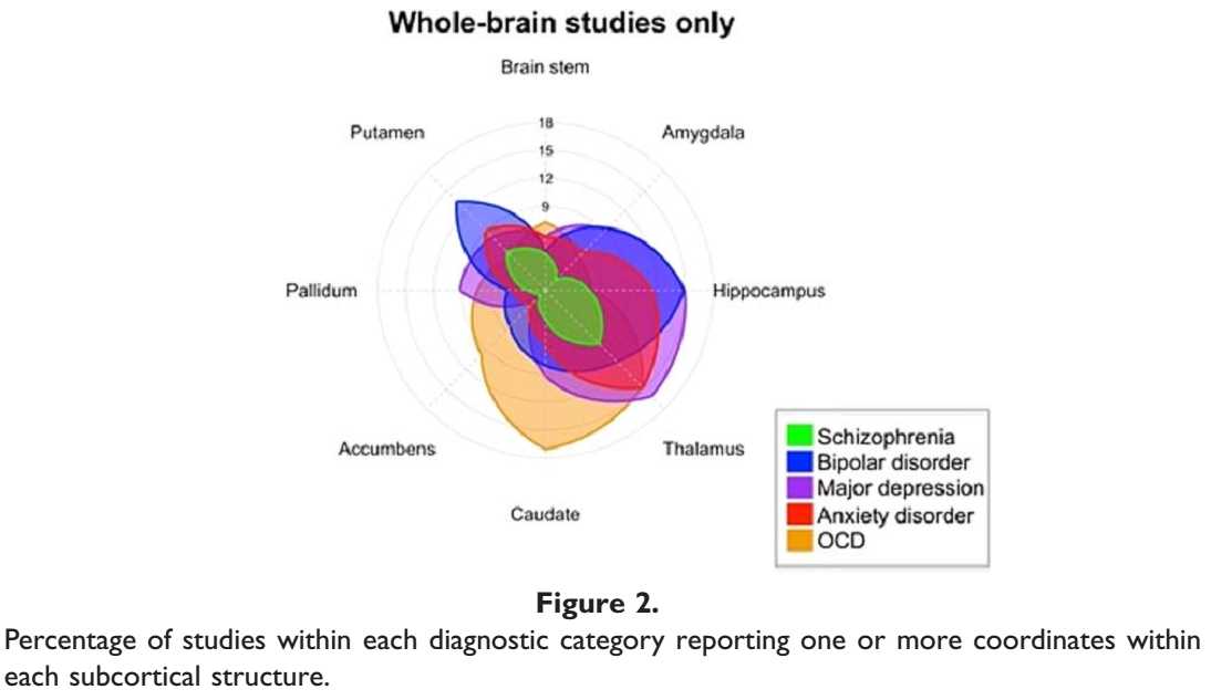 brain