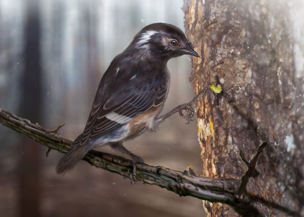This-is-a-reconstruction-of-Elektorornis-chenguangi-showing-the-possible-probing-function-of-the-elongate-toe.-Elektorornis-was-smaller-than-a-modern-sparrow.-CREDIT-Zhongda-Zhang-1024x732