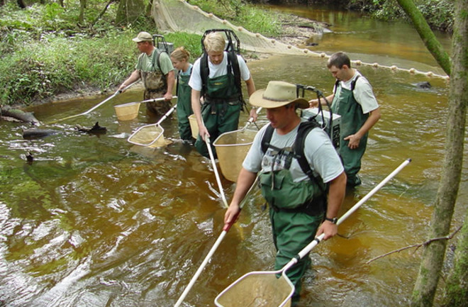 Electrofishing.jpg