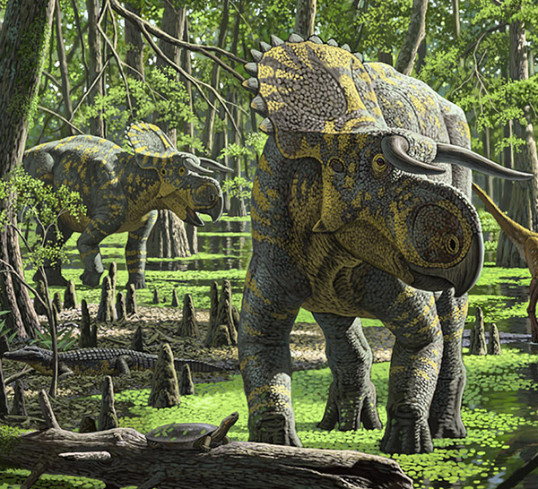 New Species Of Dinosaur Found In Utah Was Triceratops Cousin Discover Magazine 