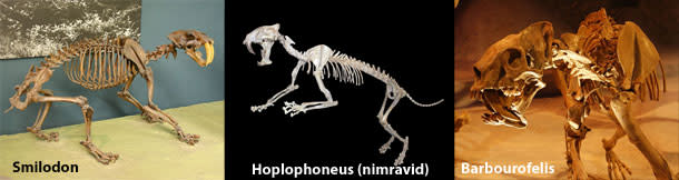 Sabre_toothed.jpg