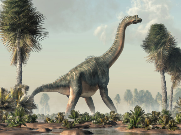 Brachiosaurus, sauropod dinosaur standing in a wetland